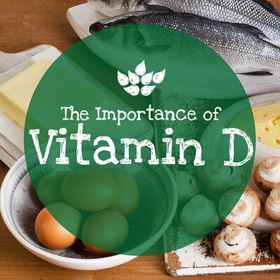 The Importance of Vitamin D + How to Get It in Your Diet