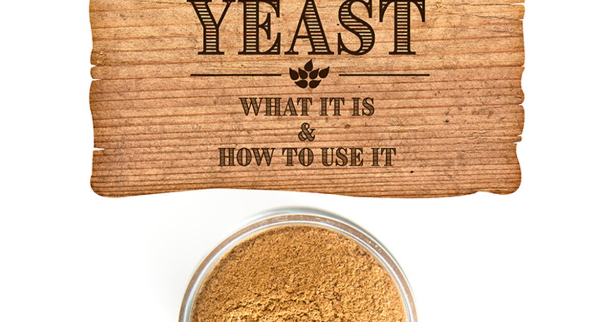 Brewer S Yeast What It Is How To Use It Swanson Health Hub