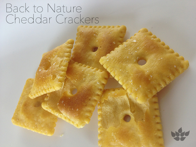 Taste Test Back To Nature Crispy Cheddar Crackers Swanson Health Hub