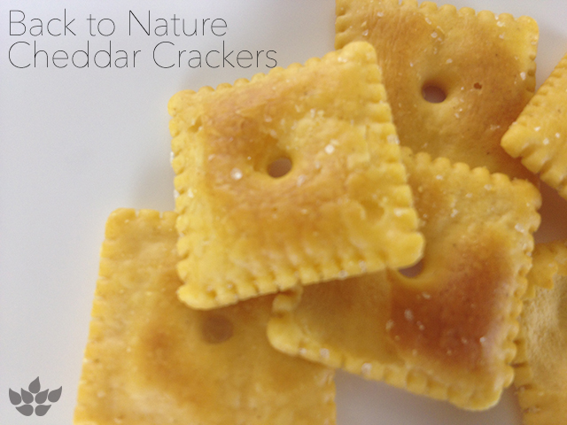 Taste Test Back To Nature Crispy Cheddar Crackers Swanson Health Hub